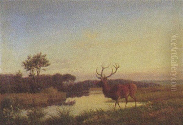 Kronhjort Ved Et Alob, I Baggrunden Fugle Pa Aftenhimlen Oil Painting by Carl Henrik Bogh