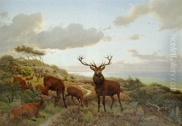 Kronhjort Med Sin Rudel I Lyngklaedt Landskab, I Baggrunden Oresund Oil Painting by Carl Henrik Bogh