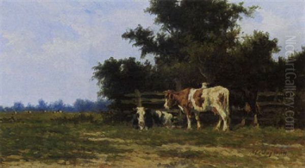 Cattle In A Sunny Meadow Oil Painting by Herman Bogman I