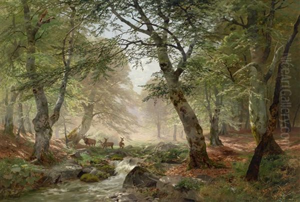 Waldlandschaft Mit Rehen Oil Painting by Heinrich Boehmer