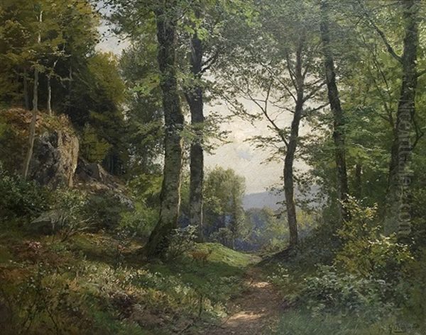 View On A Wood Glade Oil Painting by Heinrich Boehmer