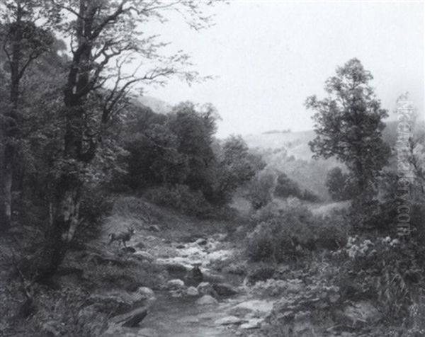 Waldlandschaft (eifel?) Mit Einem Hirsch Oil Painting by Heinrich Boehmer