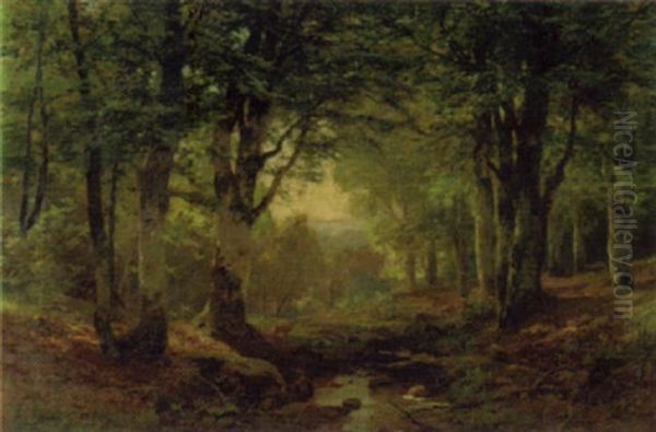 Reh An Einem Waldbach by Heinrich Boehmer