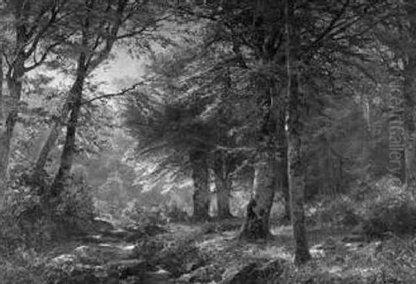 Lichtdurchfluteter Sommerlicher Laubwald Mit Rehen Oil Painting by Heinrich Boehmer