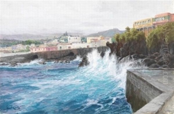 Kuste Bei Puerto Cruz, Orotava Auf Teneriffa Oil Painting by Hans (Johannes) Bohrdt