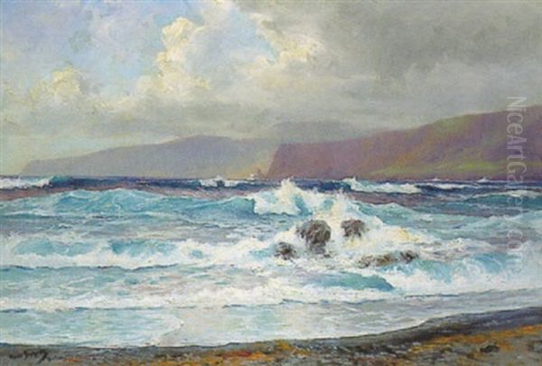 Kustenansicht Vor Teneriffa Oil Painting by Hans (Johannes) Bohrdt