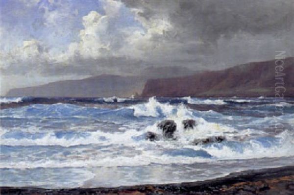 Playa De Martinez, Puerto Oratavo Teneriffe Oil Painting by Hans (Johannes) Bohrdt