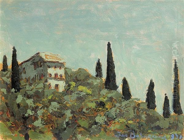 Cypress Trees On A Hill Oil Painting by Jan Bohuszewicz