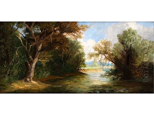 Sommerliche Flusslandschaft Oil Painting by Charles Edouard du Bois