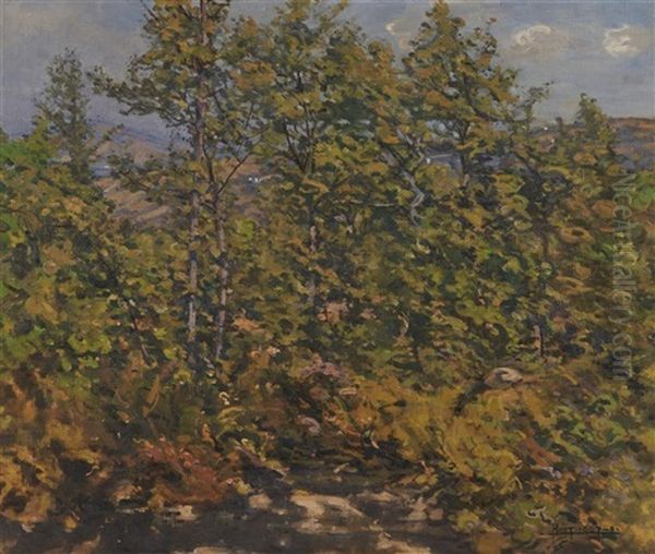 Young Woods At Cernitojo, Tuscany Oil Painting by Edward Darley Boit