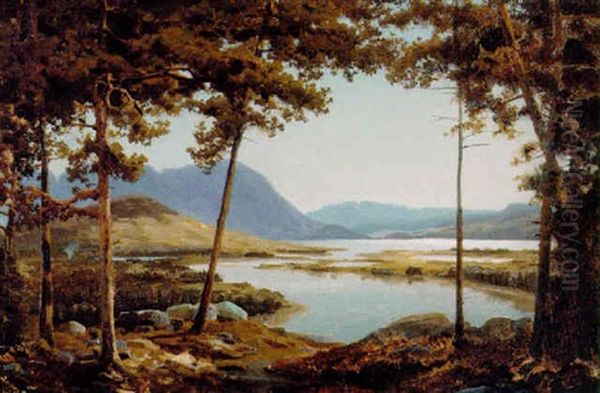 Parti Fra Ringerige Oil Painting by Reinholdt Fredrik Boll