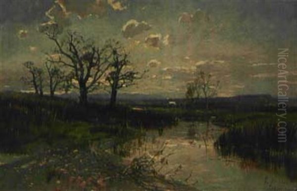 Moorlandschaft Im Spatsommer Oil Painting by Louis (Jakob Ludwig W.) Boller