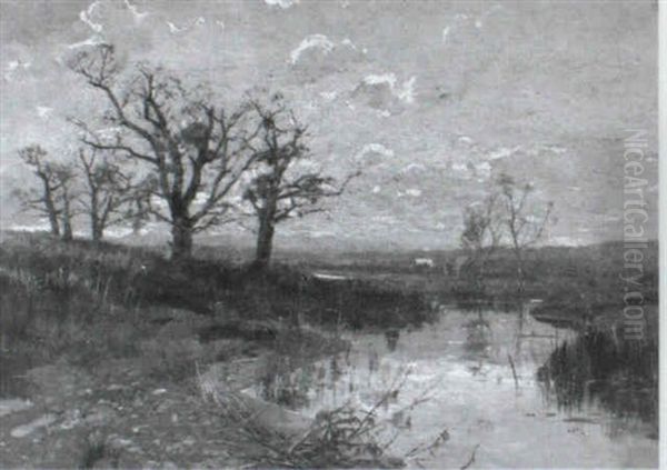 Moorlandschaft Oil Painting by Louis (Jakob Ludwig W.) Boller