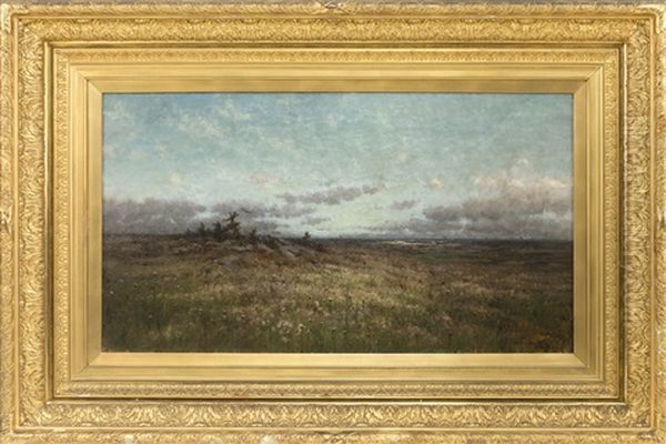 Looking Across A Flower-filled Meadow At A Distant Beach, Possibly A View In Long Island Oil Painting by M. de Forest Bolmer