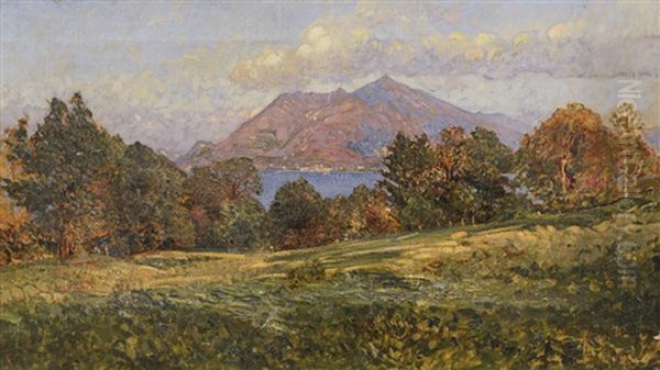 Paesaggio Verso Stresa Oil Painting by Luigi Bolongaro