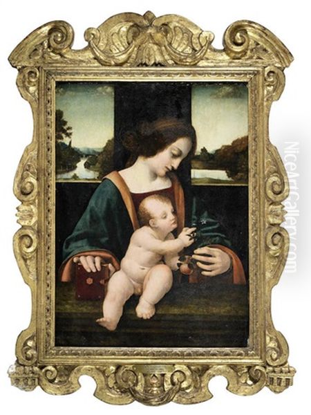 The Madonna And Child Oil Painting by Giovanni Antonio Boltraffio