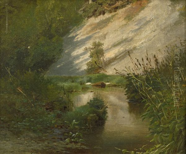 Waldweiher Mit Sumpfpflanzen Oil Painting by Carl Bolze