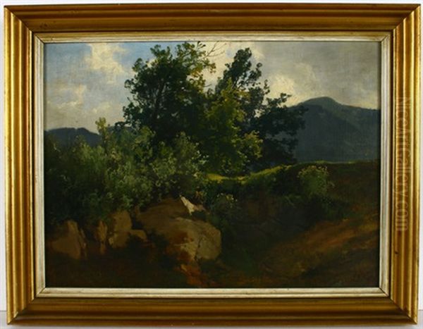 Felsboschung Mit Blick Auf Vorgebirgslandschaft Oil Painting by Carl Bolze