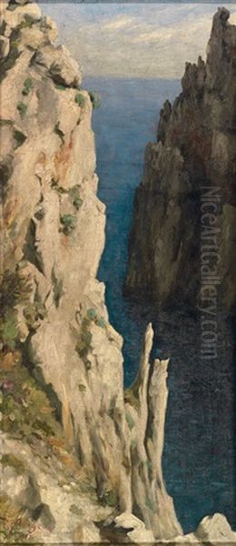 Besonnte Steilkuste Am Meer Oil Painting by Walter Von Bonge