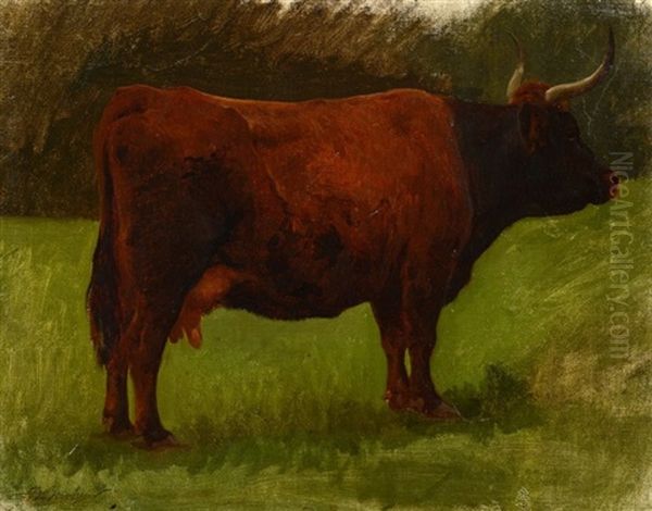 Vache De Salers Oil Painting by Auguste (Francois Auguste) Bonheur