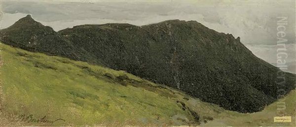 Bergige Landschaft In Der Auvergne Oil Painting by Auguste (Francois Auguste) Bonheur