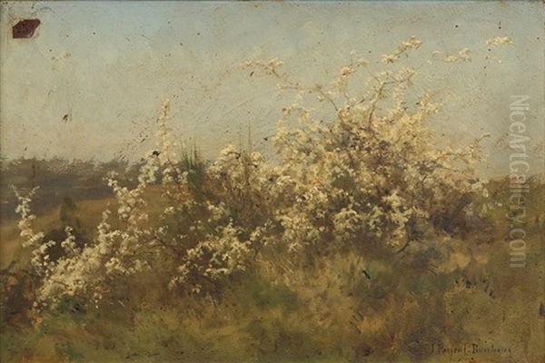 Arbres En Fleurs Oil Painting by Juliette Peyrol Bonheur