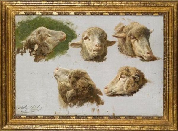 Sheep Heads (study) Oil Painting by Juliette Peyrol Bonheur