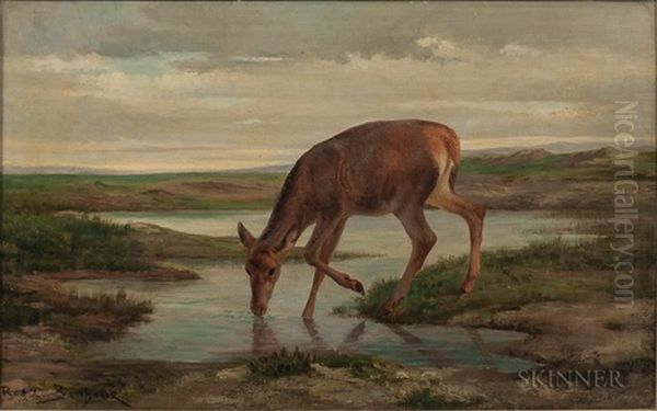 Chevreuil De Desalterant /roebuck Quenching His Thirst Oil Painting by Rosa Bonheur