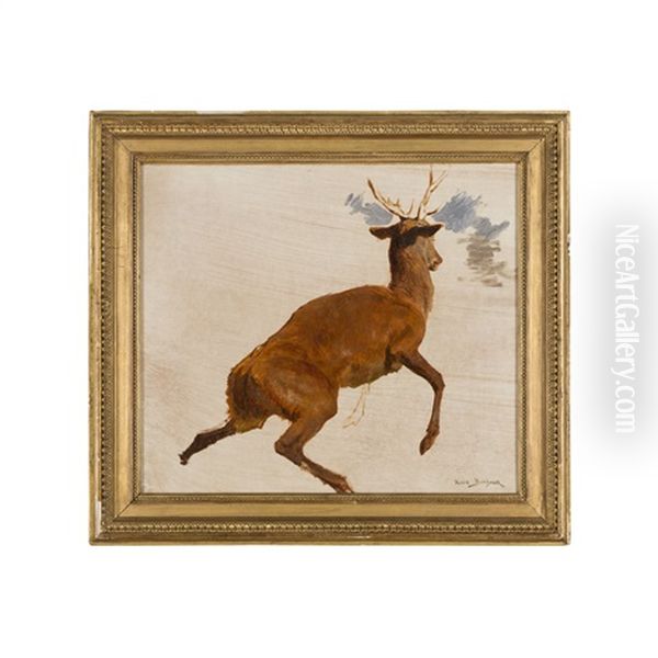 Sketch Of A Deer Oil Painting by Rosa Bonheur