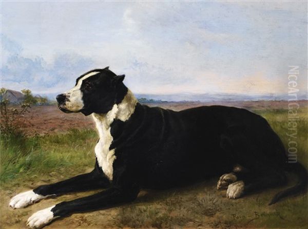 Portrait Of A Mastiff-labrador In A Landscape Oil Painting by Rosa Bonheur