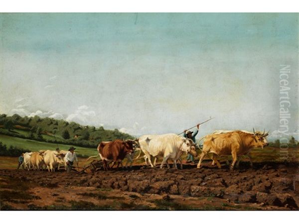 Beim Pflugen Des Ackers Oil Painting by Rosa Bonheur