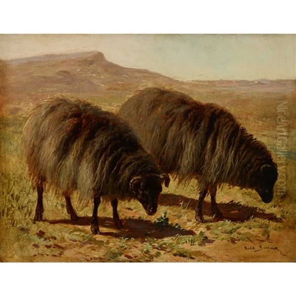 Ovejas (two Sheep) Oil Painting by Rosa Bonheur