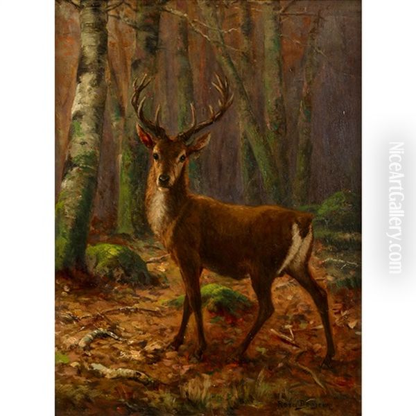 Stag In The Woods by Rosa Bonheur