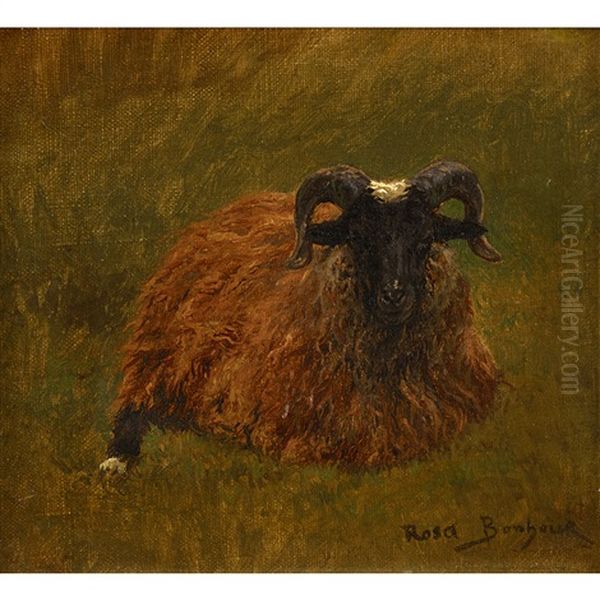 Ram Oil Painting by Rosa Bonheur