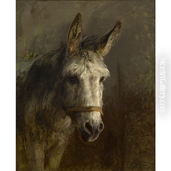 Portrait Of A Donkey Oil Painting by Rosa Bonheur