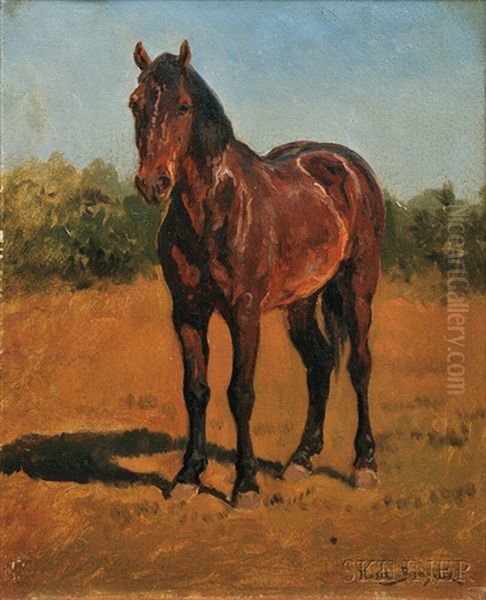 Study Of A Standing Horse Oil Painting by Rosa Bonheur