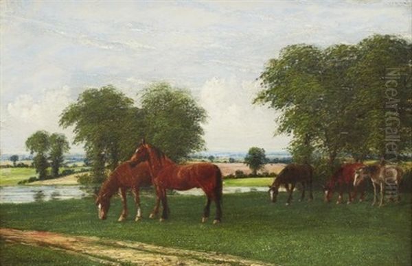 Hastar I Landskap Oil Painting by Rosa Bonheur