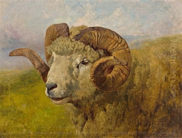 Widder Oil Painting by Rosa Bonheur