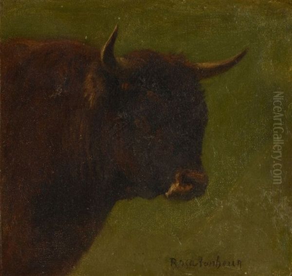 Tete De Vache Oil Painting by Rosa Bonheur