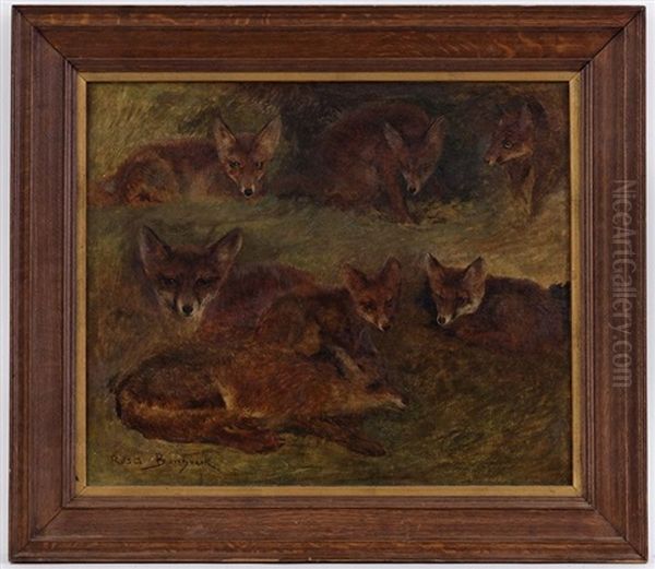 Etude De Renard Couche Oil Painting by Rosa Bonheur