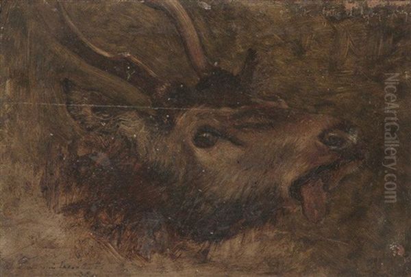 Tete De Cervide Oil Painting by Rosa Bonheur