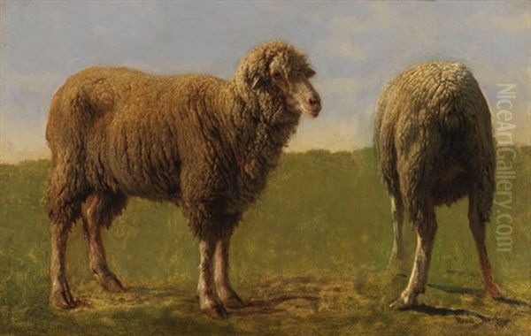 Tierstudie: Zwei Schafe (study) Oil Painting by Rosa Bonheur