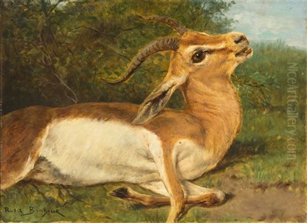 Antelope Oil Painting by Rosa Bonheur