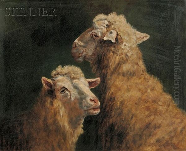 Two Sheep Oil Painting by Rosa Bonheur