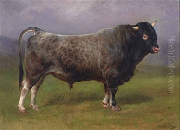 Portrait Of A Bull Standing In A Field Oil Painting by Rosa Bonheur