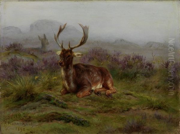 Liegender Hirsch Auf Einer Wildwiese Oil Painting by Rosa Bonheur