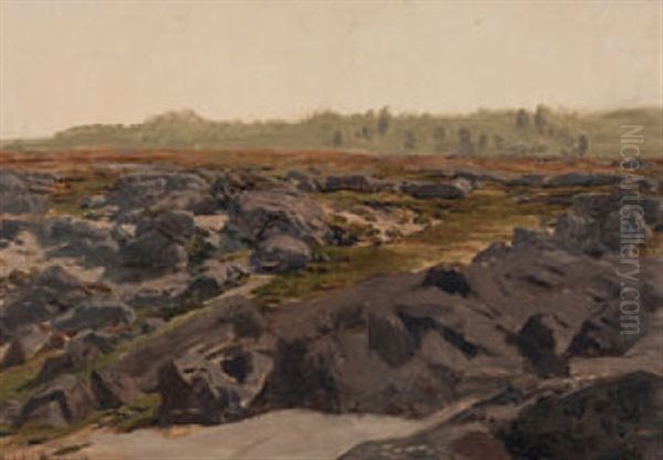 Steinige Feldlandschaft - Im Hintergrund Begrunter Hugelzug by Rosa Bonheur