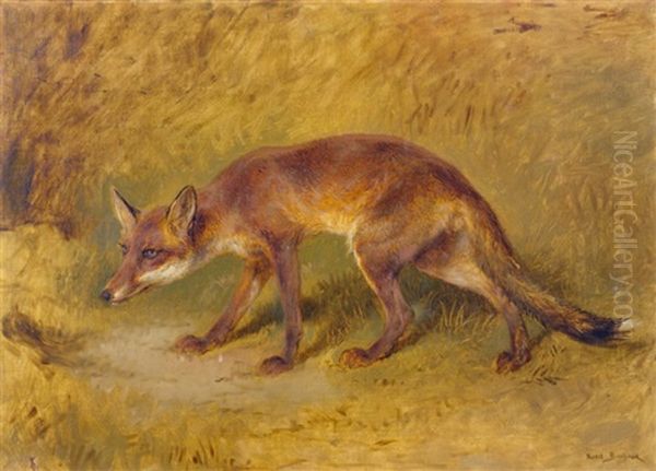 Renard Aux Aguets Oil Painting by Rosa Bonheur