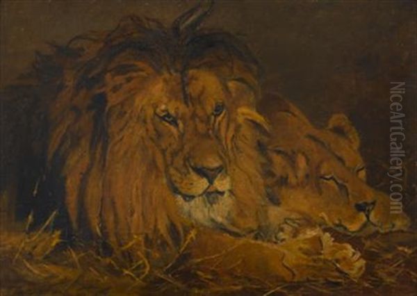 Lions Oil Painting by Rosa Bonheur