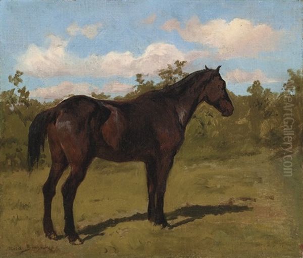 Cheval (study) by Rosa Bonheur